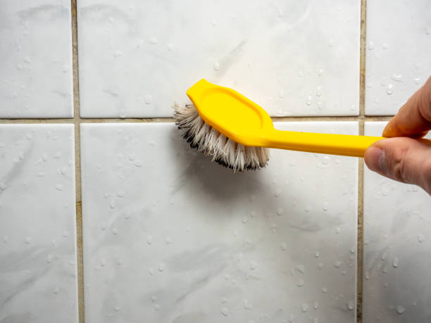 Reliable Sylacauga, AL Mold Removal Solutions