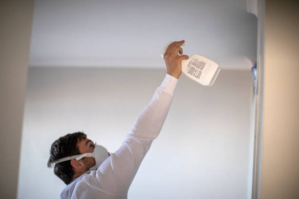 Best Mold Damage Repair  in Sylacauga, AL