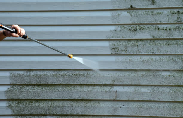 Mold Testing and Removal in Sylacauga, AL