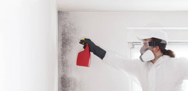Best Office Mold Removal Services  in Sylacauga, AL
