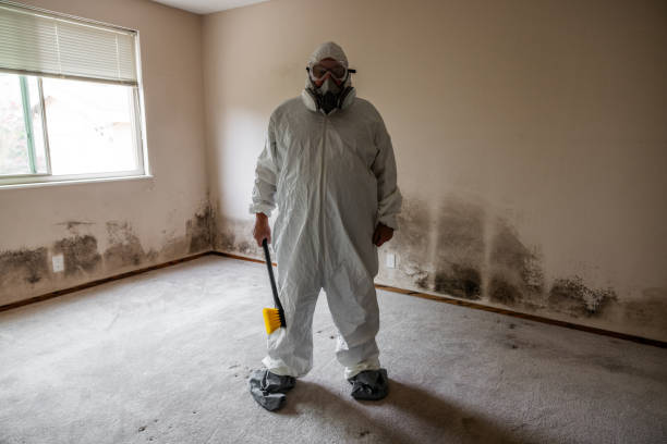Best Mold Cleaning Services  in Sylacauga, AL